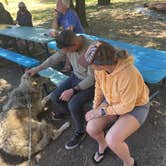 Review photo of KQ Ranch Resort by Danielle F., June 5, 2022