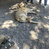 Review photo of KQ Ranch Resort by Danielle F., June 5, 2022