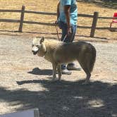 Review photo of KQ Ranch Resort by Danielle F., June 5, 2022