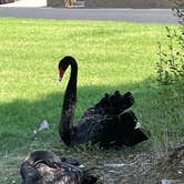 Review photo of Sky Valley RV Resort by Danielle F., June 5, 2022