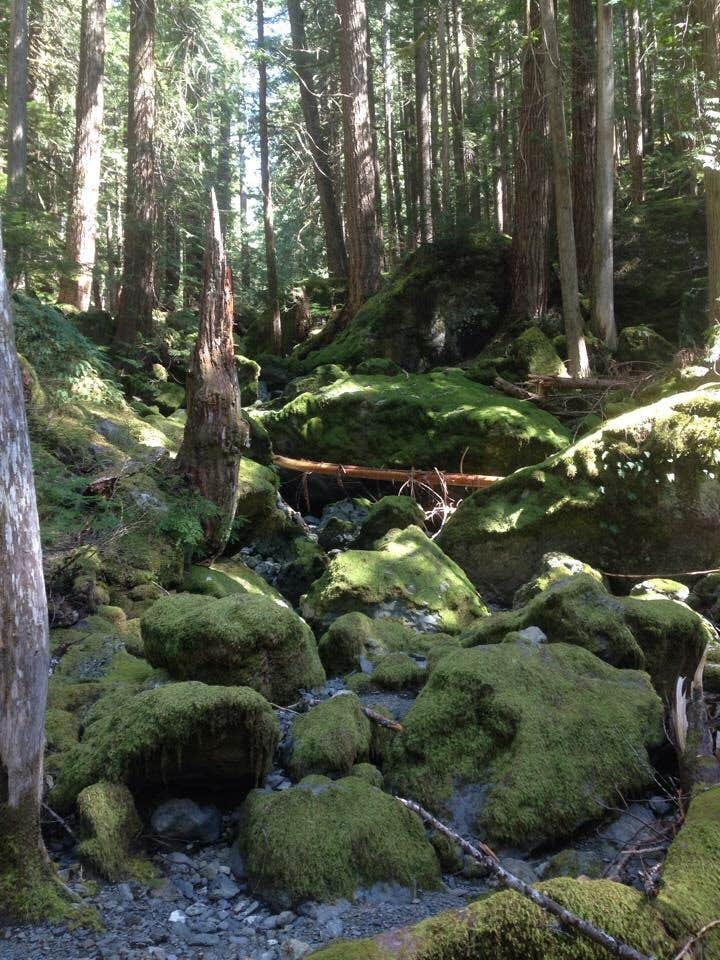 Camper-submitted photo at Lena Lake Campground near Wauna, WA