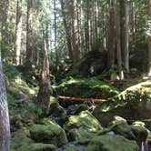 Review photo of Lena Lake Campground by Brit B., July 15, 2018