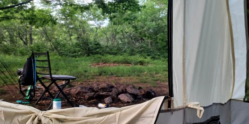 Camper submitted image from Hog Camp Gap