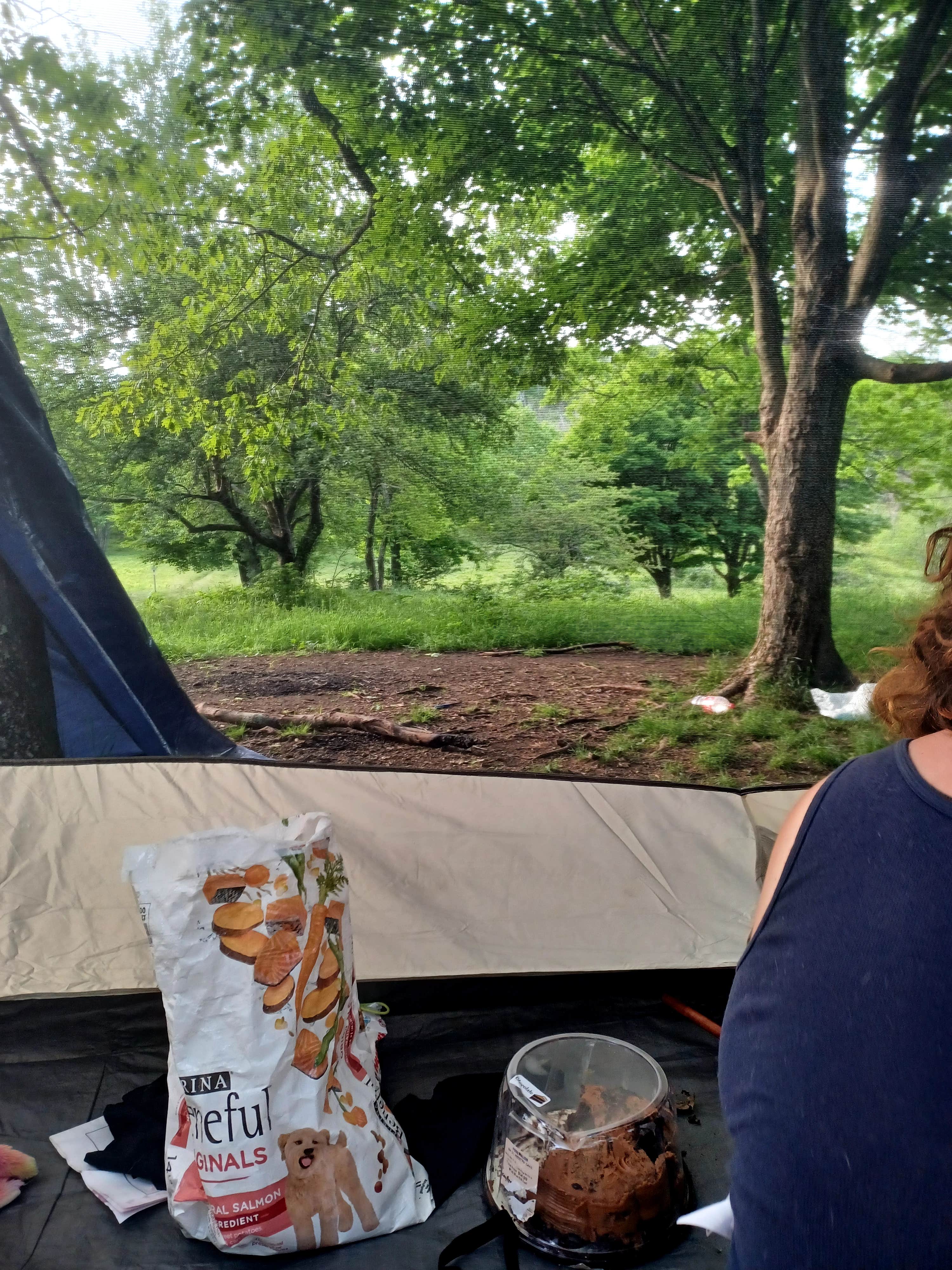 Camper-submitted photo at Hog Camp Gap near Buchanan, VA