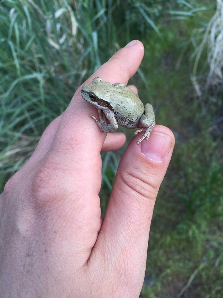 Camper-submitted photo at Frenchman Coulee Backcountry Campsites near Beverly, WA