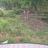 Review photo of Hog Camp Gap by Comalee D., June 5, 2022