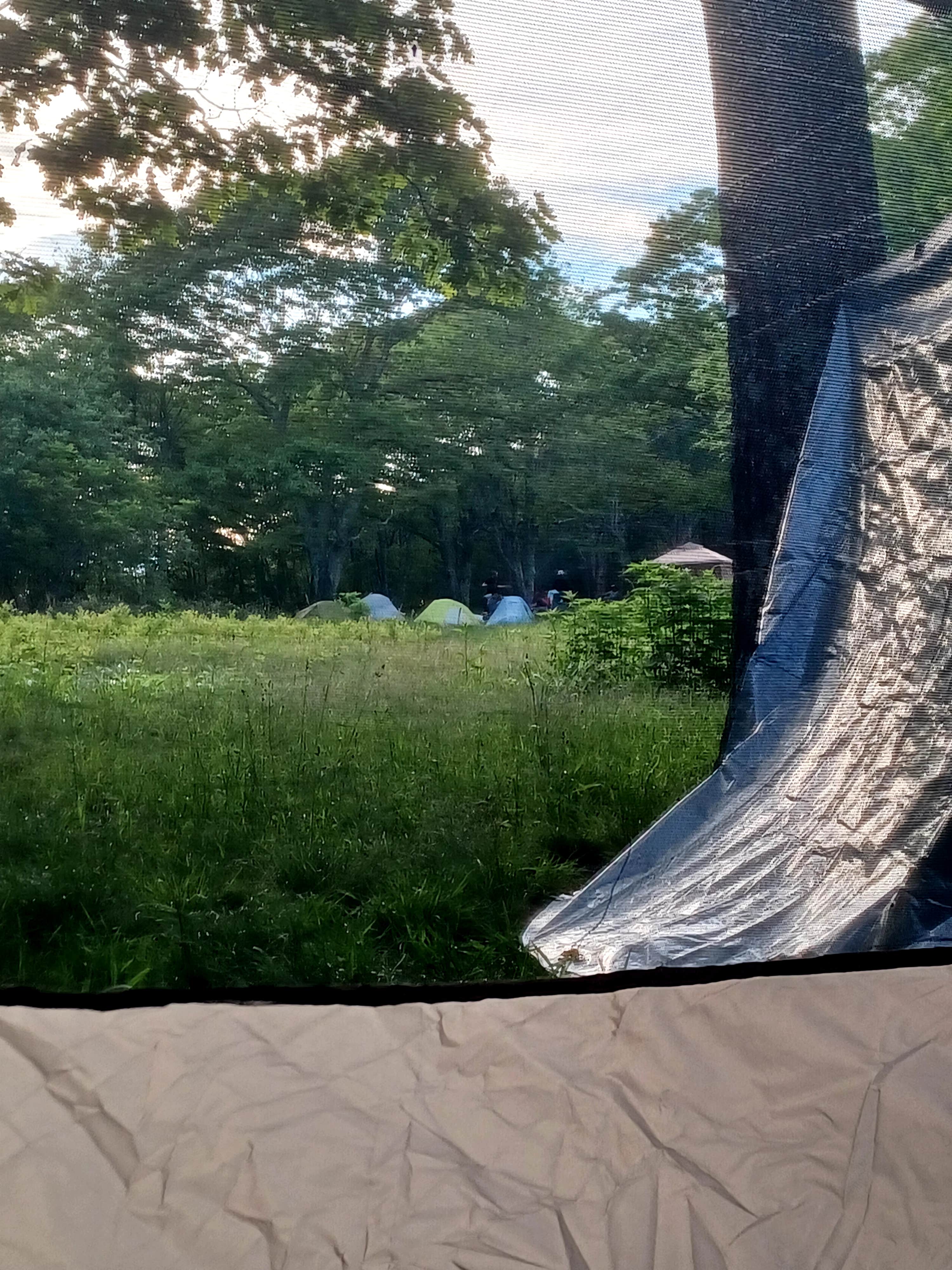 Camper-submitted photo at Hog Camp Gap near Buchanan, VA