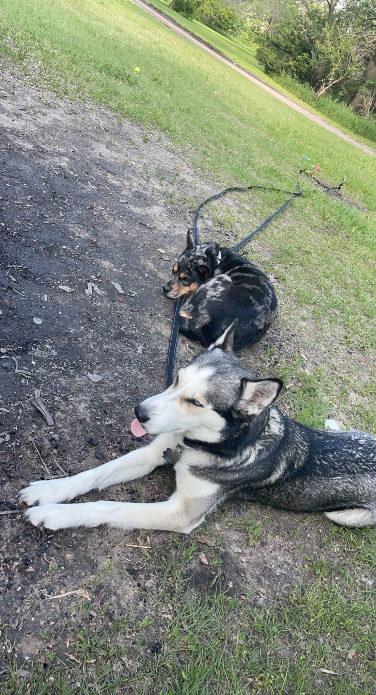 Brooke C.'s photo of camping with pets at Sandy Channel State Rec Area near Elwood, NE
