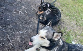 Brooke C.'s photo of camping with pets at Sandy Channel State Rec Area near Gothenburg, NE