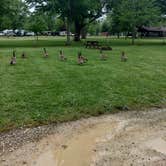 Review photo of Illiniwek Campground by James M., May 27, 2022