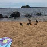 Review photo of Sebago Lake State Park Campground by Sarah C., July 15, 2018