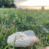 Review photo of Minooka - Wilson Reservoir by Steve L., June 5, 2022