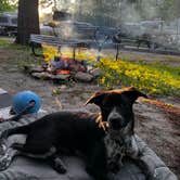Review photo of Bonnie Brae Cabins and Campsites by Jenny C., June 5, 2022
