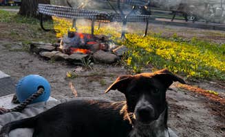 Jenny C.'s photo of camping with pets at Bonnie Brae Cabins and Campsites in Massachusetts