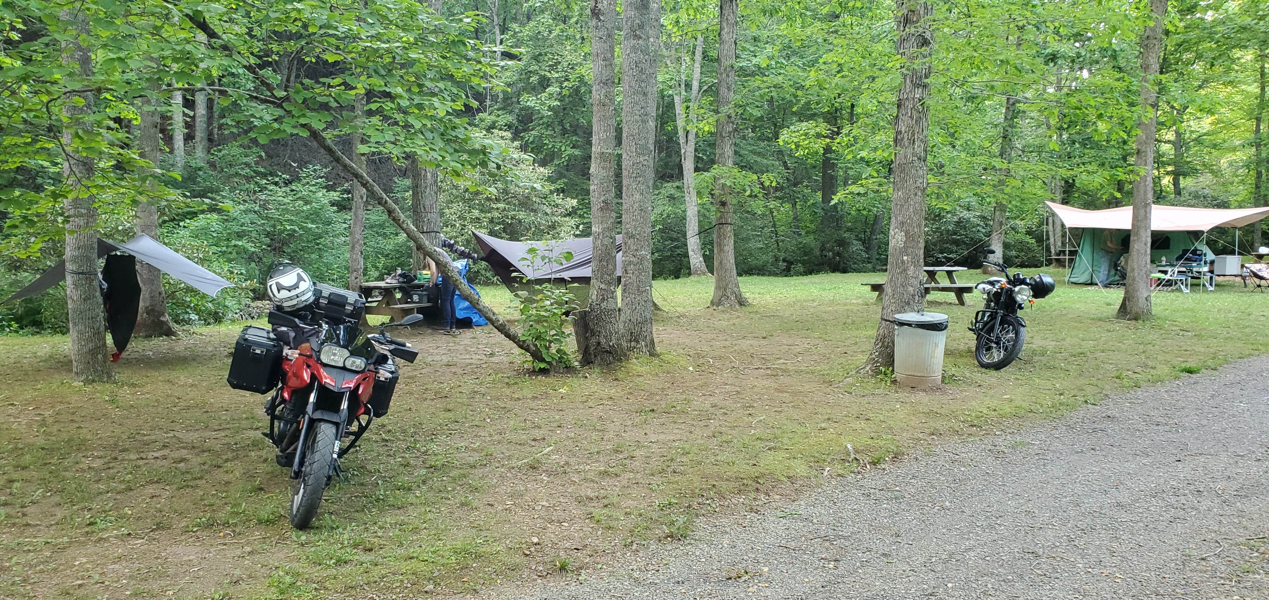 Camper submitted image from Willville Motorcycle Camp - 3