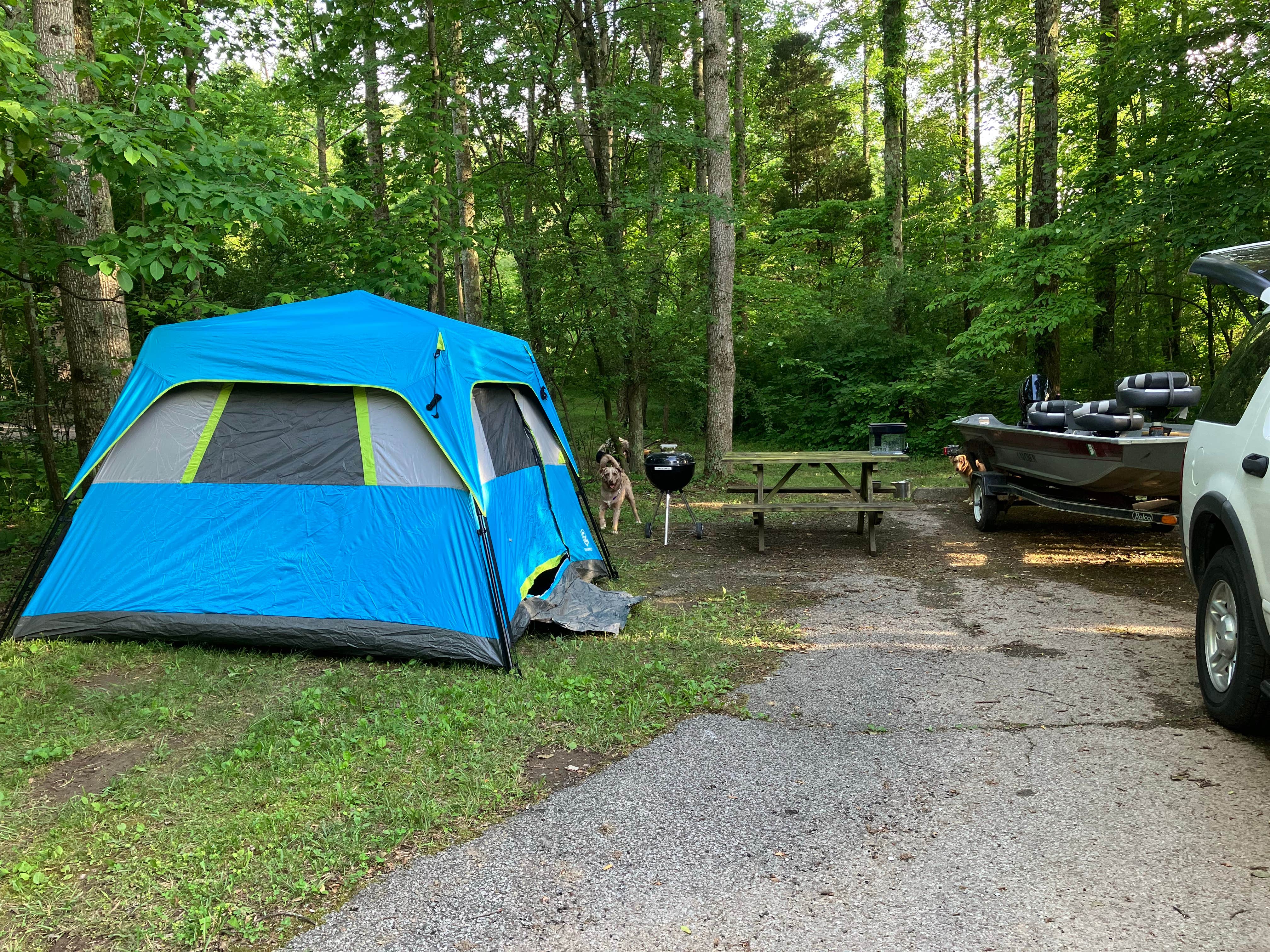Chelsea M.'s photo at Patoka Lake Campground near French Lick, IN