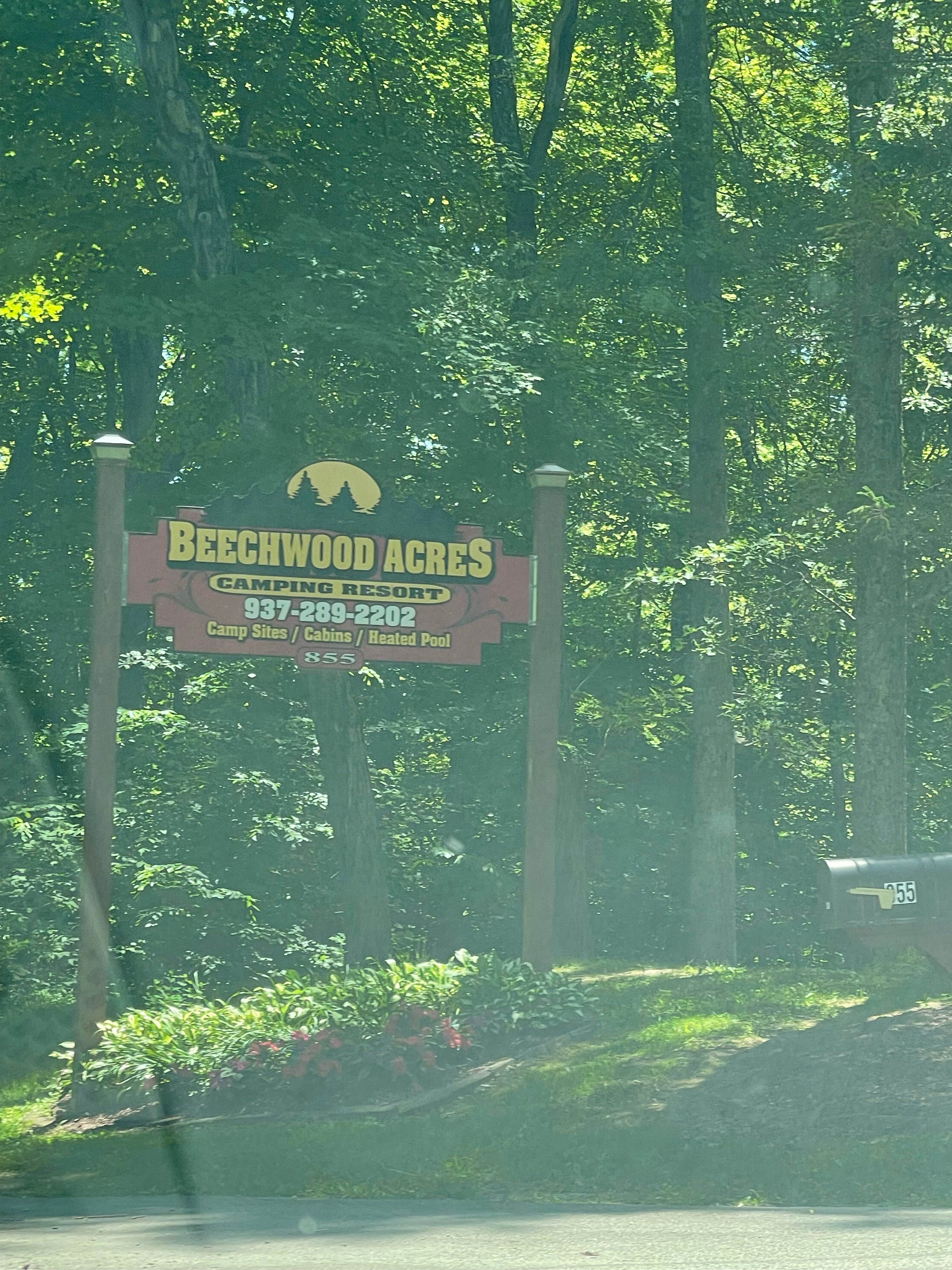 Camper submitted image from Beechwood Acres Camping Resort - 3