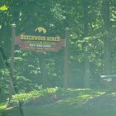 Review photo of Beechwood Acres Camping Resort by Amy H., June 5, 2022