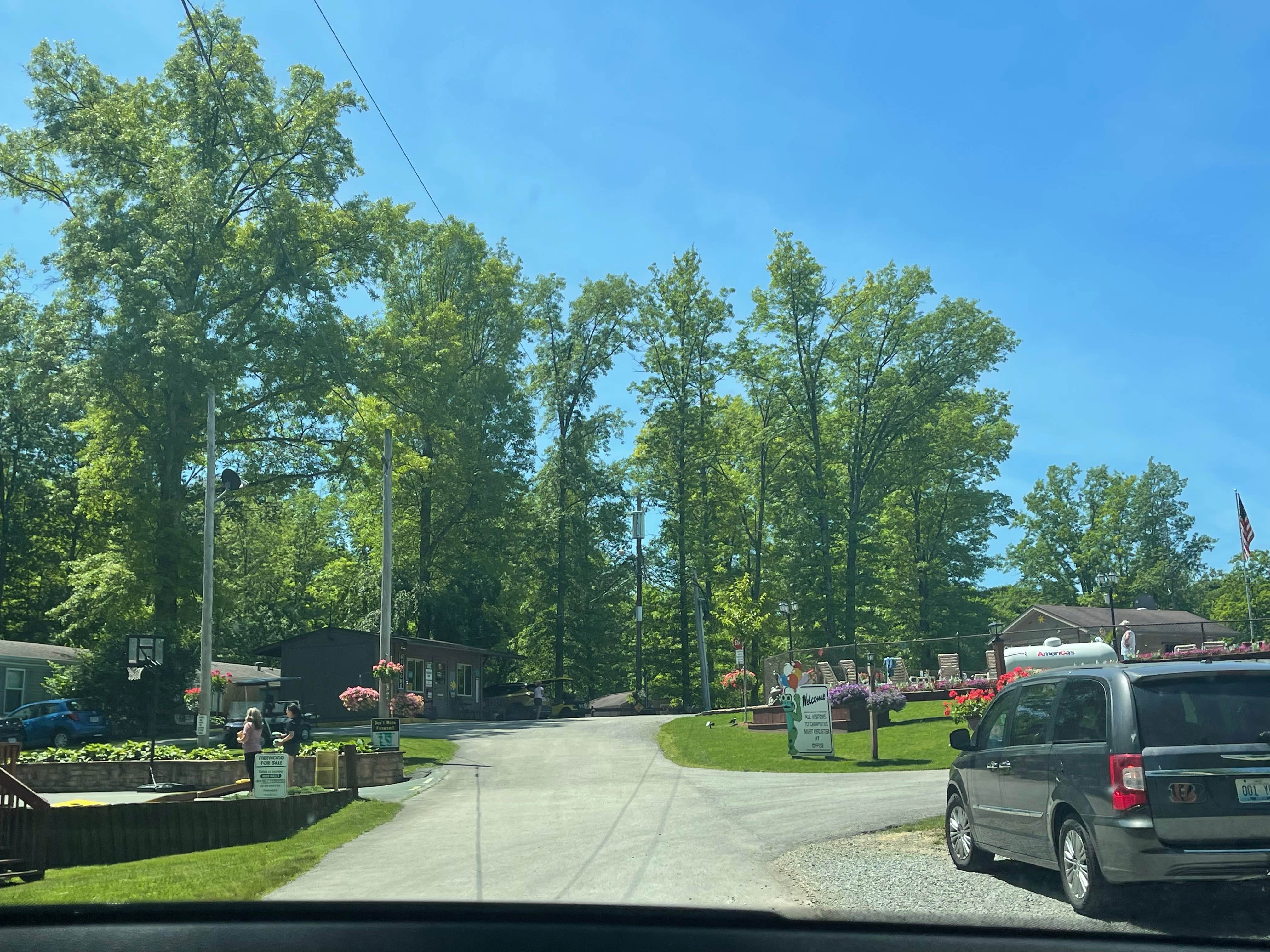 Camper submitted image from Beechwood Acres Camping Resort - 4