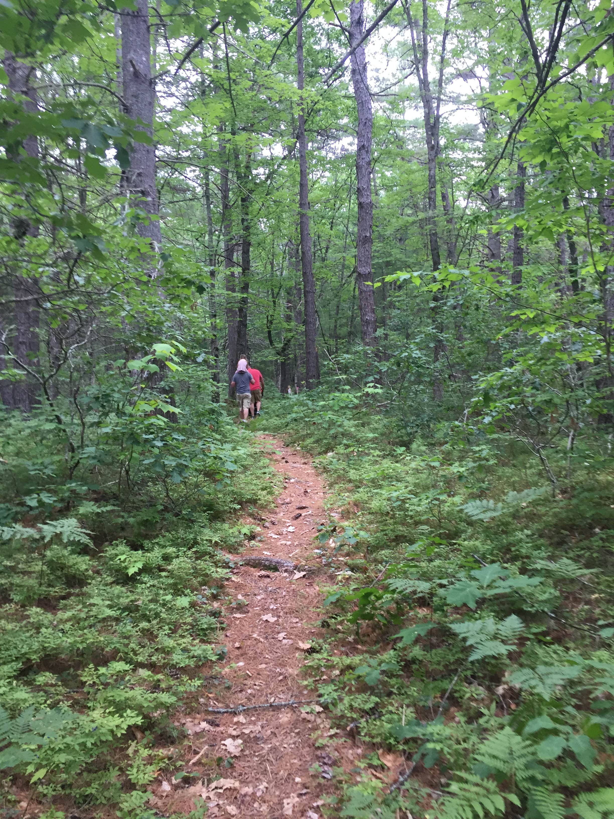 Camper submitted image from Chocorua KOA - 3