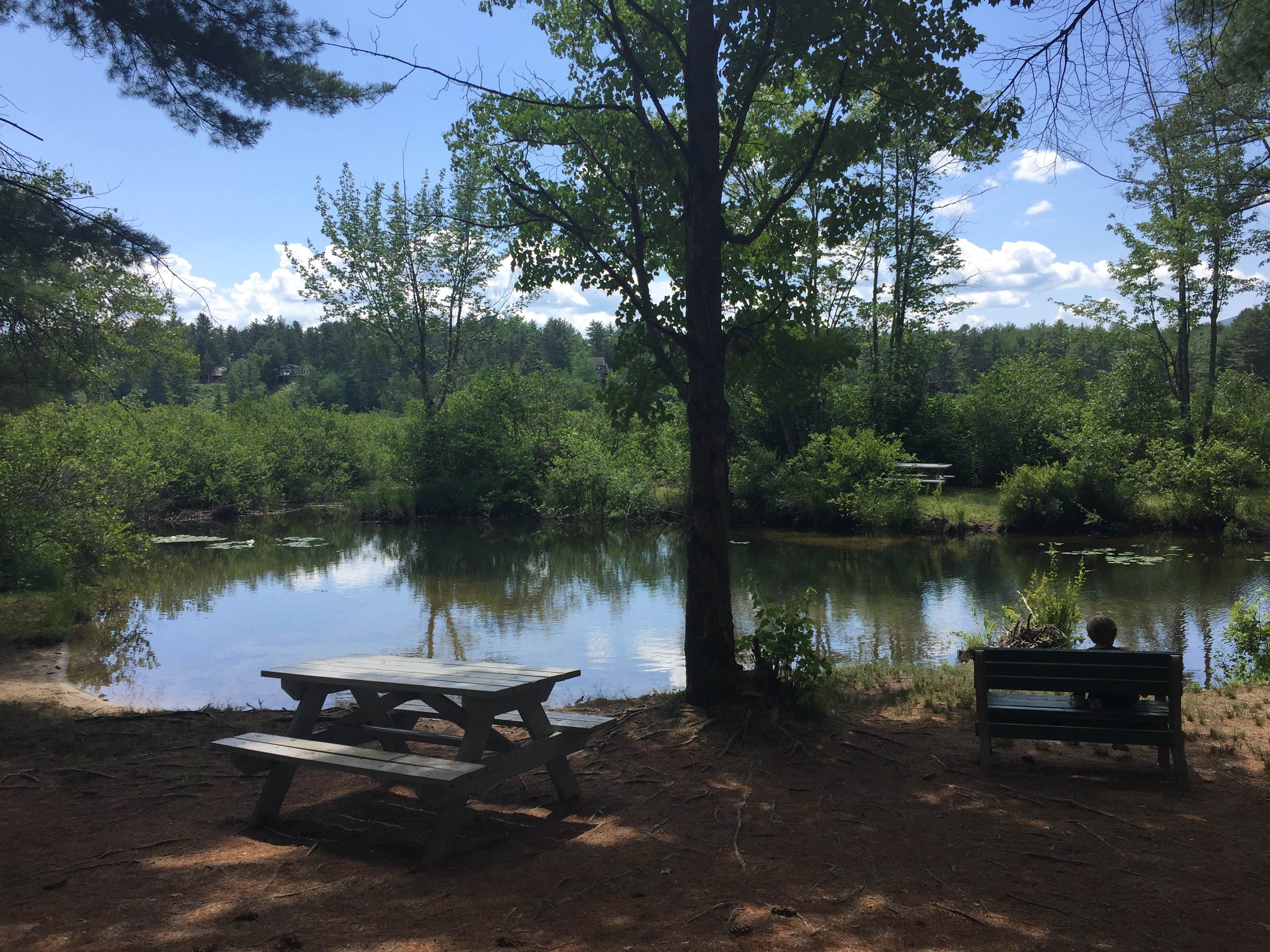 Camper-submitted photo at Chocorua KOA near Chocorua, NH