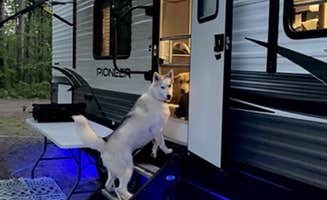 Nick C.'s photo of camping with pets at Buffalo Valley Camping near Superior, WI