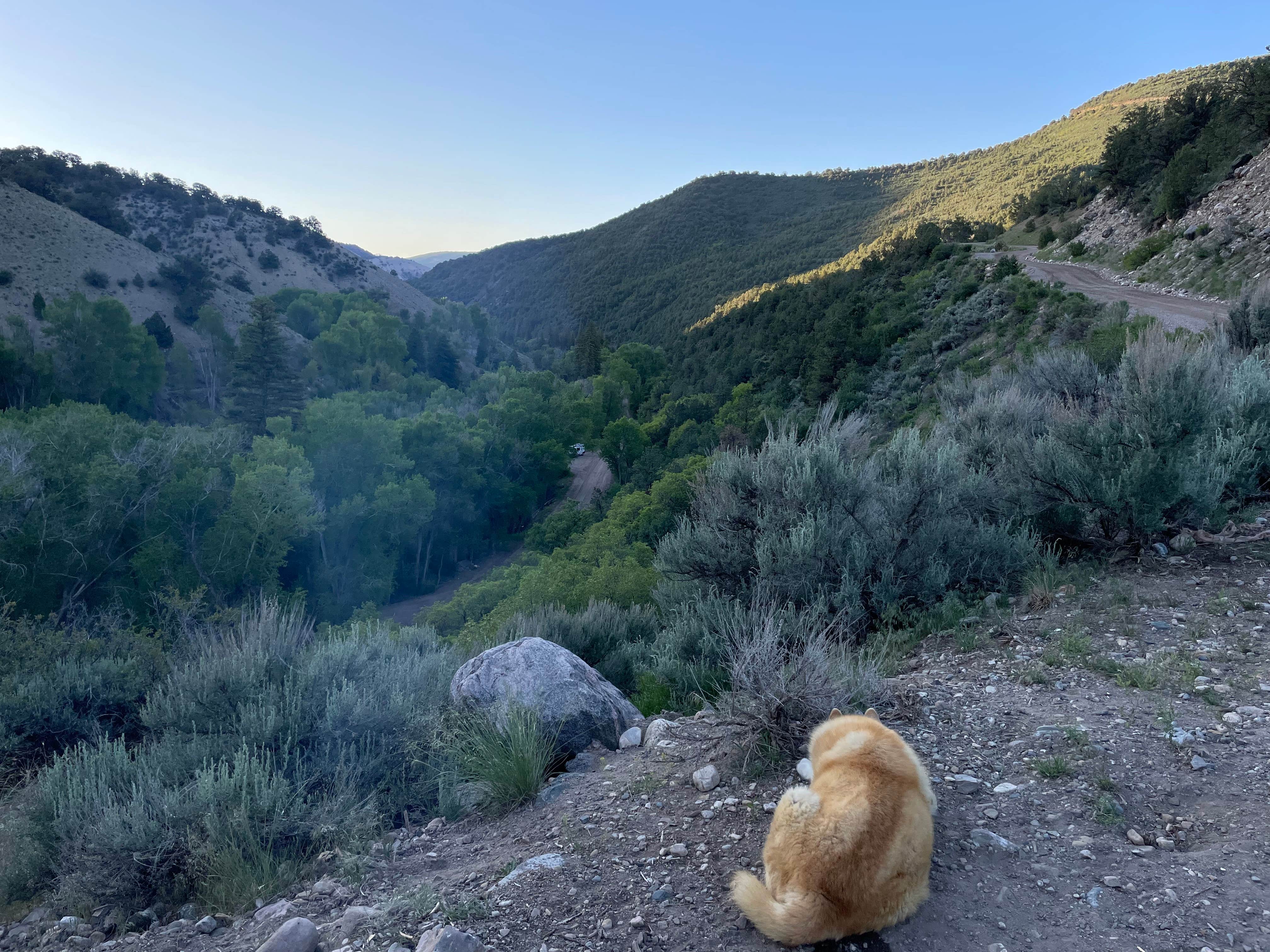 Nina M.'s photo of camping with pets at Deep Creek Campground near Glenwood Springs, CO