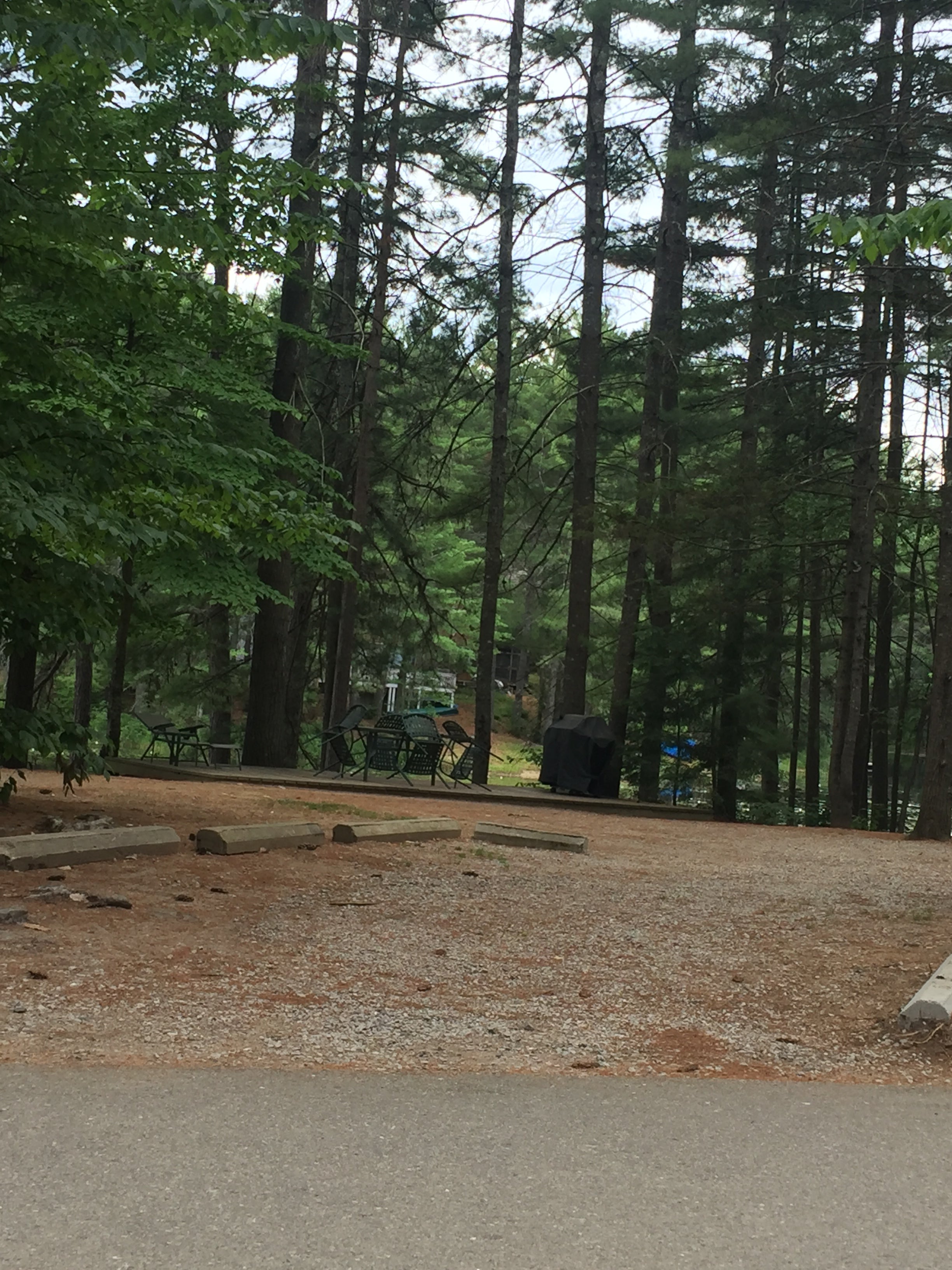 Camper submitted image from Chocorua KOA - 3