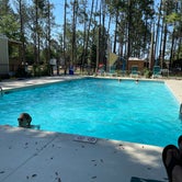 Review photo of Yogi Bear’s Jellystone Park Camp Resort - Alabama Gulf Coast by Matt W., June 5, 2022
