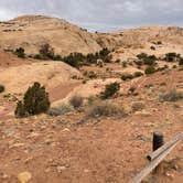 Review photo of South Temple Wash Campground by Abby M., June 1, 2022