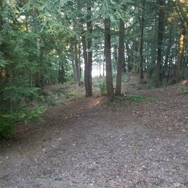 Walking trail to lake from the cabin
