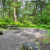 Review photo of Kanaskat-Palmer State Park by Jay F., June 5, 2022