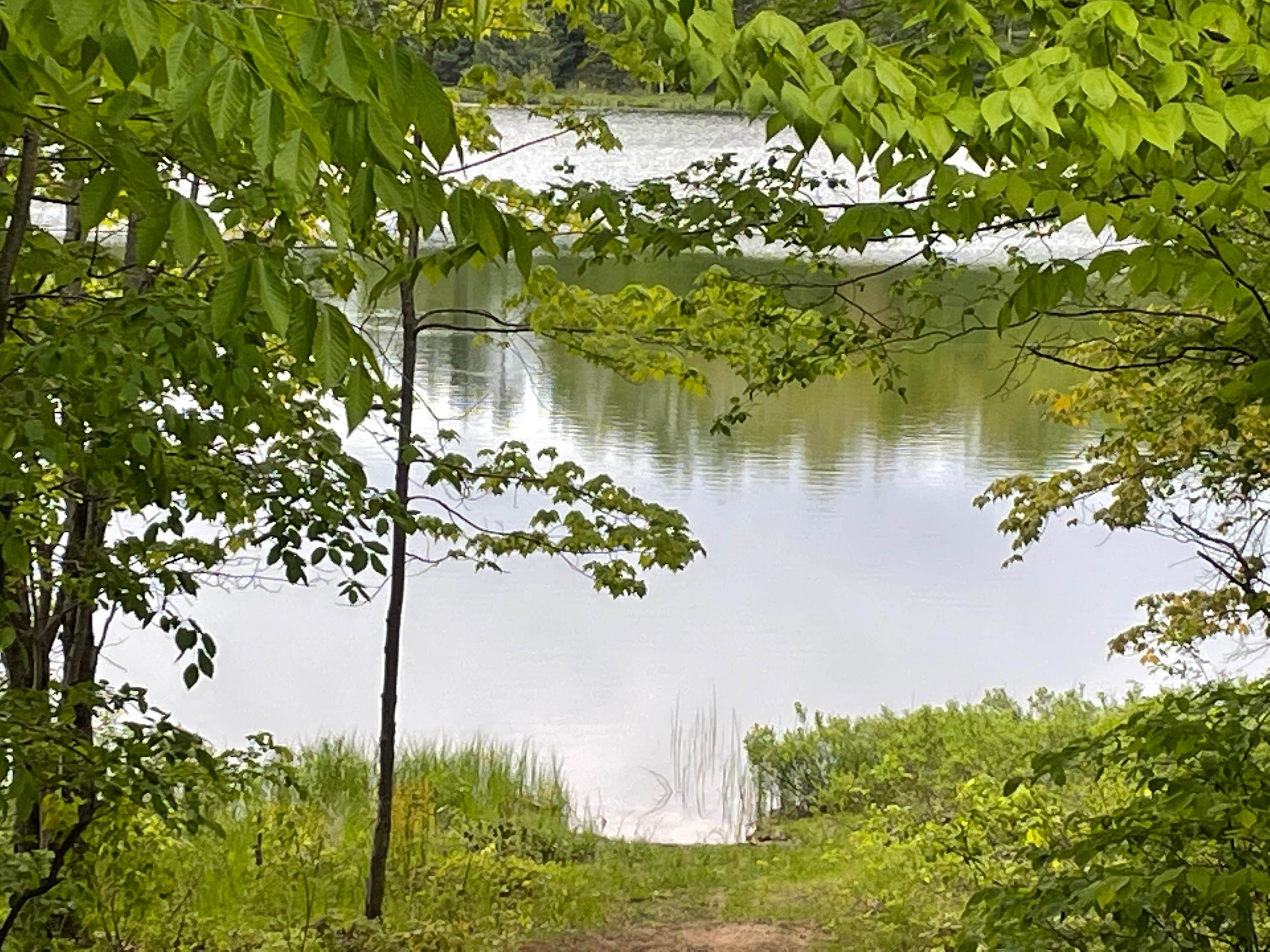 Camper submitted image from Carr Lake Campsite — Hiawatha National Forest - 5