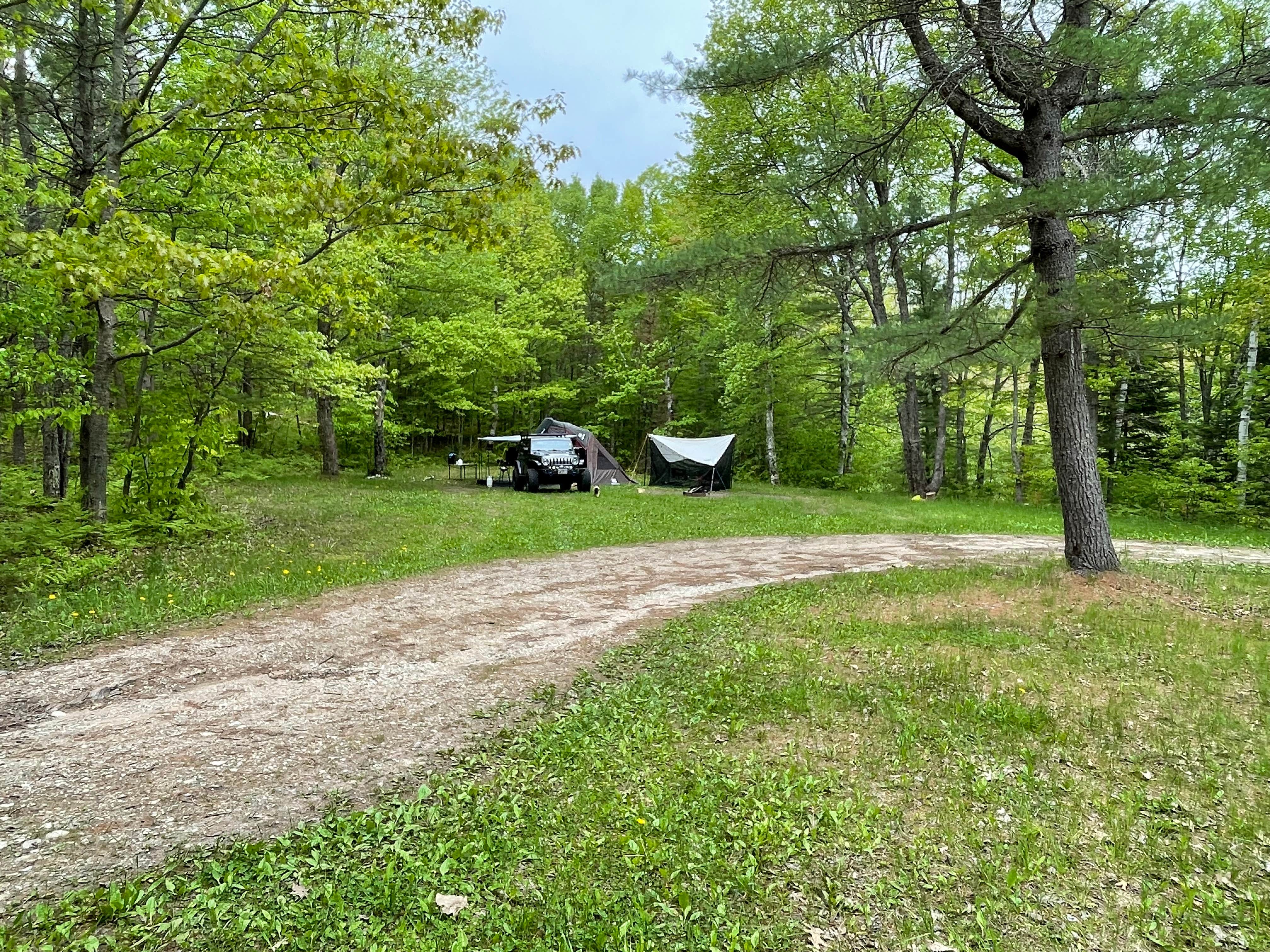 Camper submitted image from Carr Lake Campsite — Hiawatha National Forest - 3