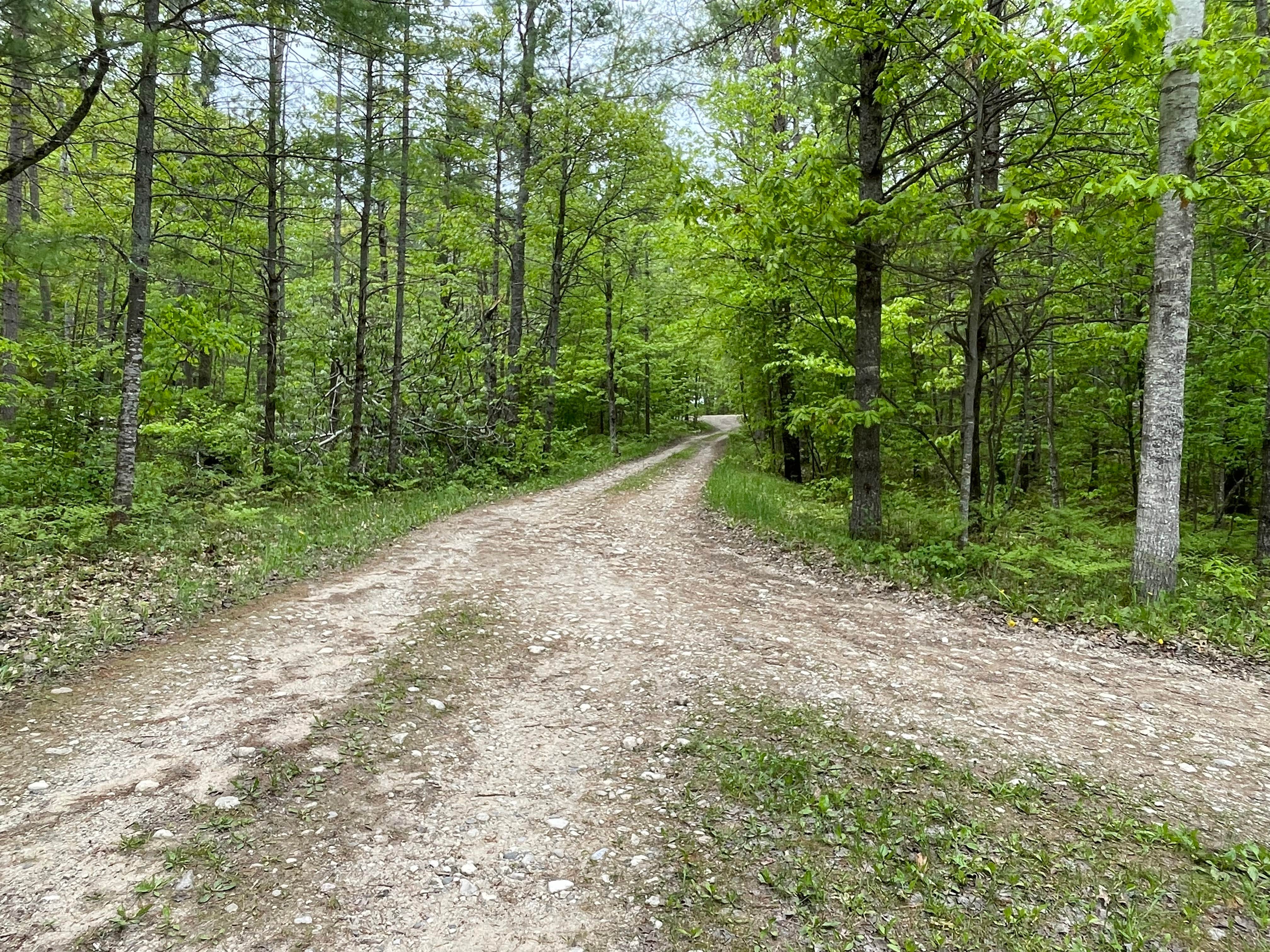 Camper submitted image from Carr Lake Campsite — Hiawatha National Forest - 4