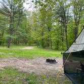 Review photo of Carr Lake Campsite — Hiawatha National Forest by Zachary J., June 5, 2022