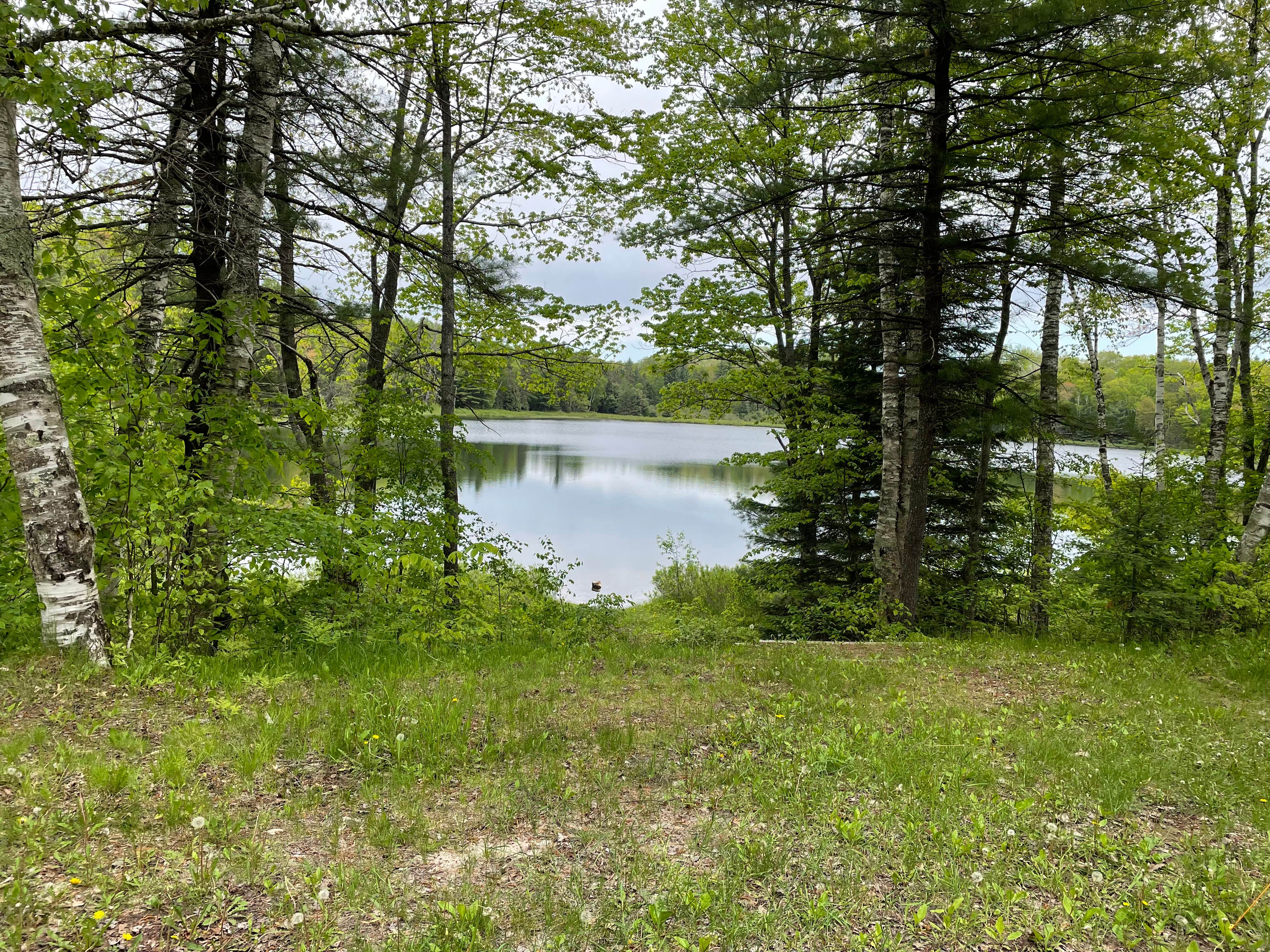 Camper submitted image from Carr Lake Campsite — Hiawatha National Forest - 4