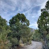 Review photo of Carpenter Canyon by Nick , June 5, 2022