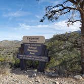 Review photo of Carpenter Canyon by Nick , June 5, 2022