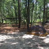 Review photo of Wekiwa Springs State Park Campground by Zackari S., July 15, 2018