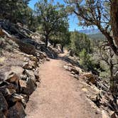 Review photo of Elk Ridge Campground — Ridgway State Park by Jennifer D., June 5, 2022