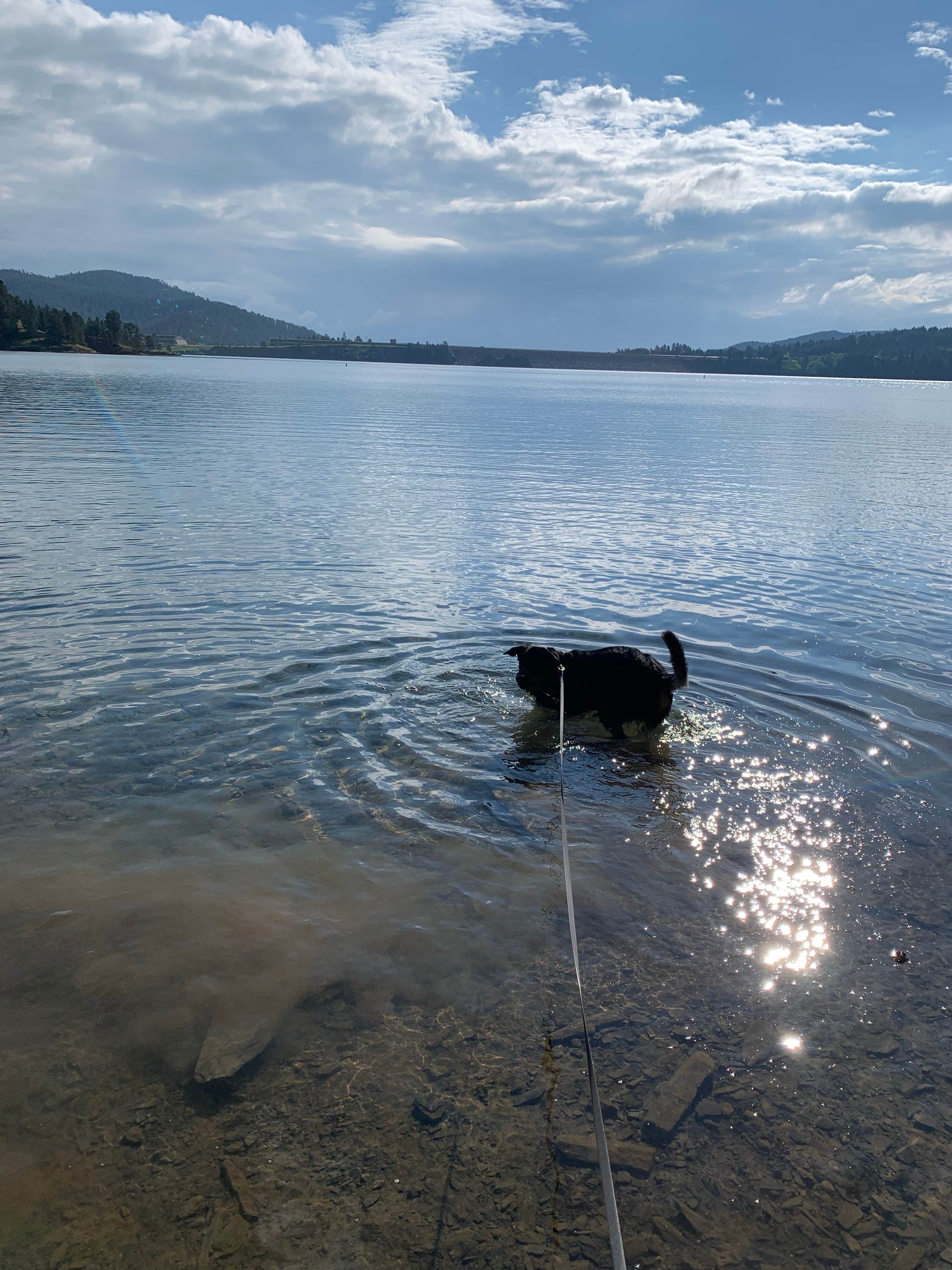 CHris B.'s photo of camping with pets at Pactola Reservoir Campground near Black Hills National Forest