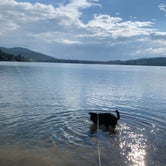 Review photo of Pactola Reservoir Campground by CHris B., June 5, 2022
