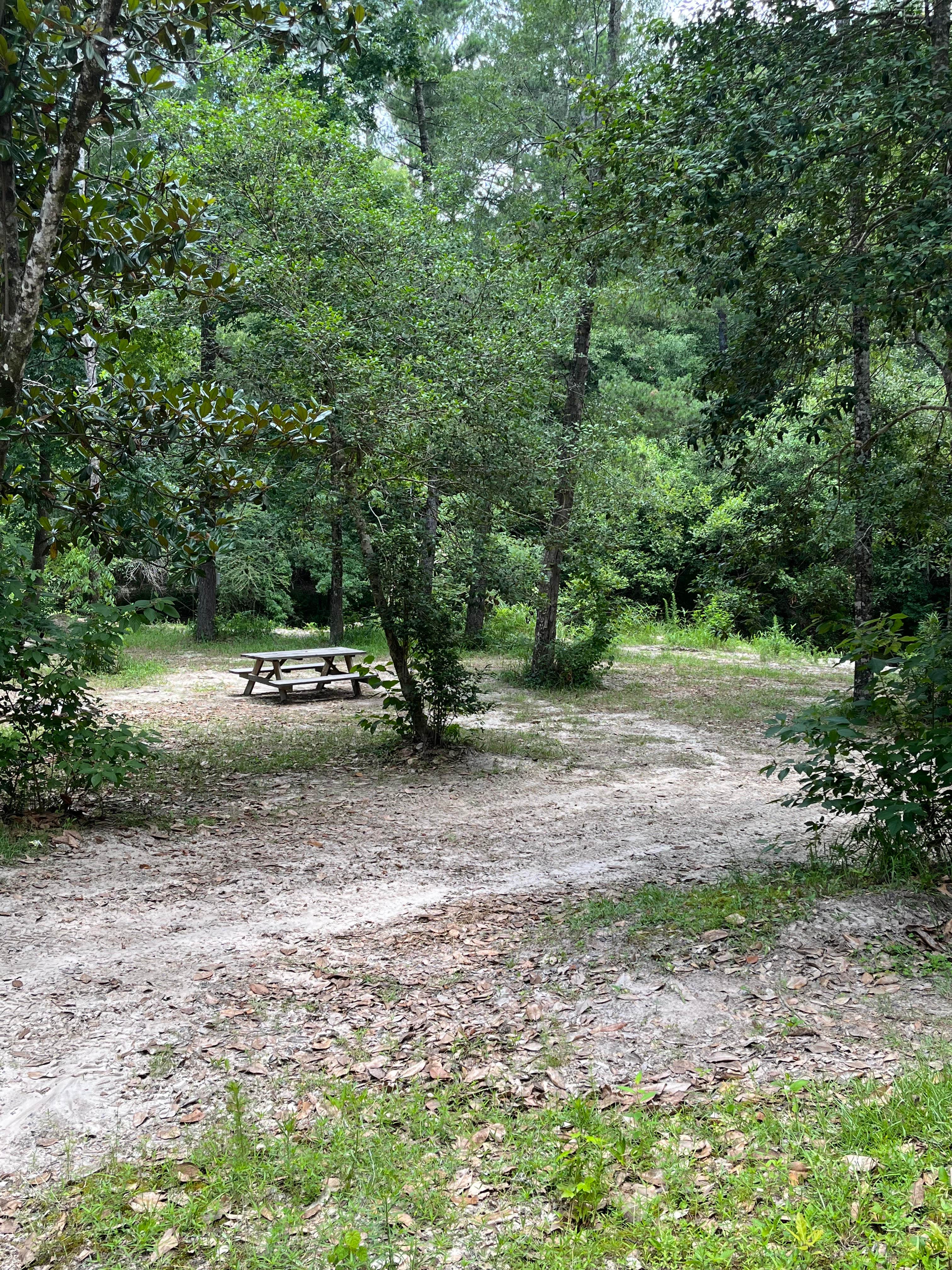 Camper submitted image from Creekside Farm Co. - 2
