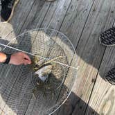 Review photo of Sun Outdoors Cape Charles by Christen C., July 15, 2018