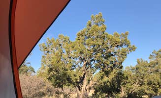 Crystal C.'s photo at Rancheros de Santa Fe near Rowe, NM