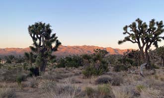 Camping near Milsap Campground: Black Rock Campground, Yucca Valley, California