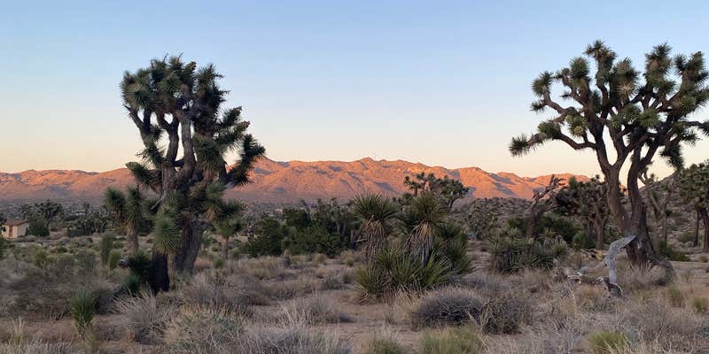 Camper submitted image from Black Rock Campground