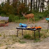 Review photo of Lost Johnny Point Campground by CHris B., June 5, 2022