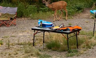CHris B.'s photo at Lost Johnny Point Campground near Essex, MT